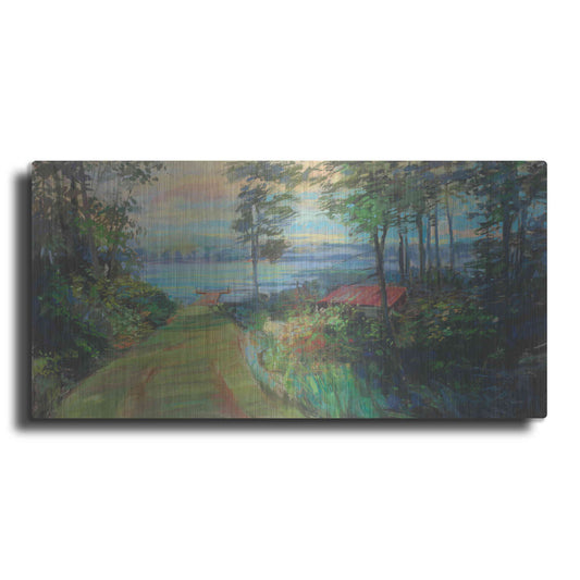 Luxe Metal Art 'Collins Lake' by Carol Rowan, Metal Wall Art