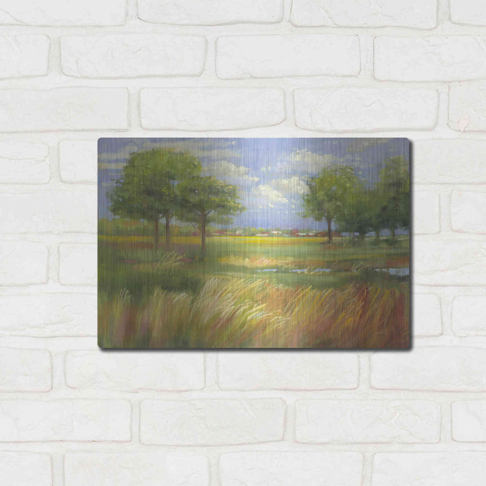 Luxe Metal Art 'Dawn By The Brook' by Carol Rowan, Metal Wall Art,16x12