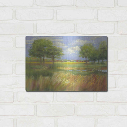 Luxe Metal Art 'Dawn By The Brook' by Carol Rowan, Metal Wall Art,16x12