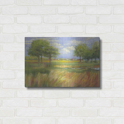 Luxe Metal Art 'Dawn By The Brook' by Carol Rowan, Metal Wall Art,24x16