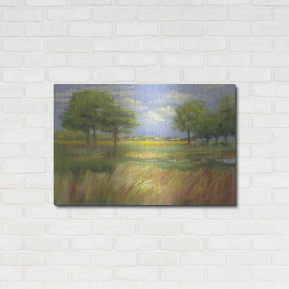 Luxe Metal Art 'Dawn By The Brook' by Carol Rowan, Metal Wall Art,36x24