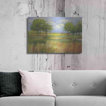 Luxe Metal Art 'Dawn By The Brook' by Carol Rowan, Metal Wall Art,36x24