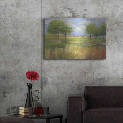 Luxe Metal Art 'Dawn By The Brook' by Carol Rowan, Metal Wall Art,36x24