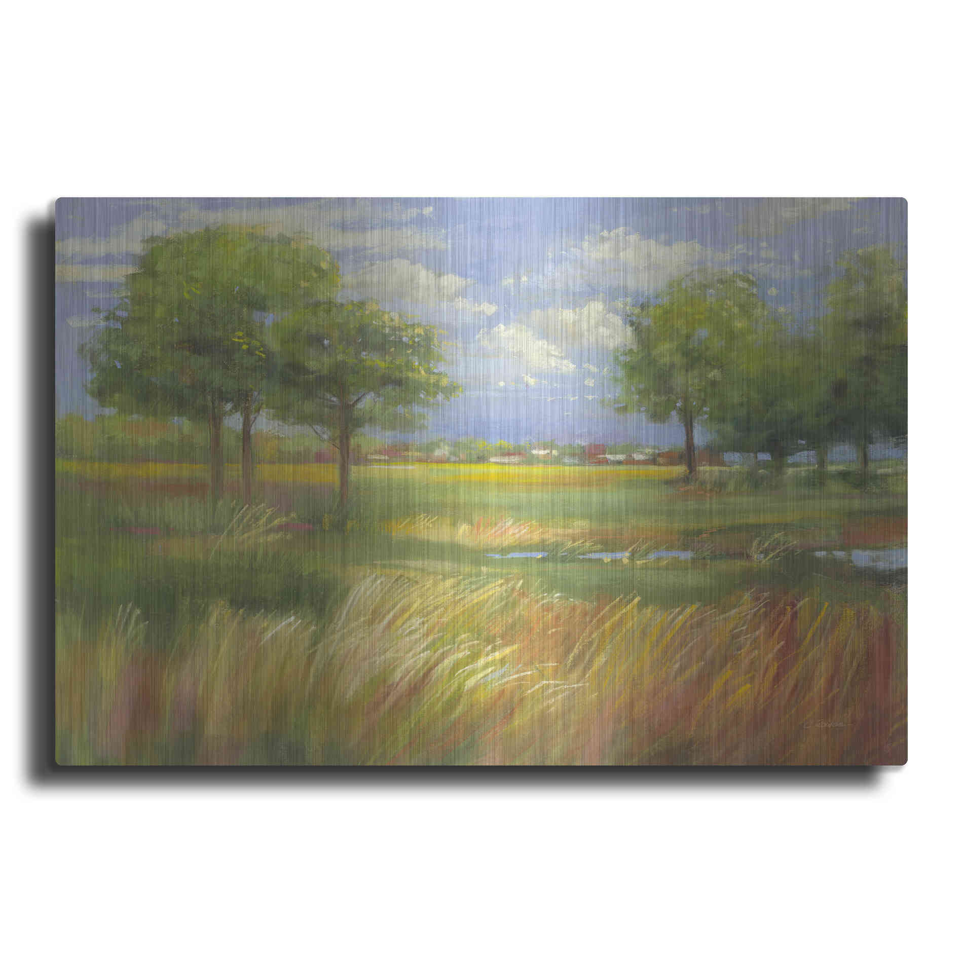 Luxe Metal Art 'Dawn By The Brook' by Carol Rowan, Metal Wall Art