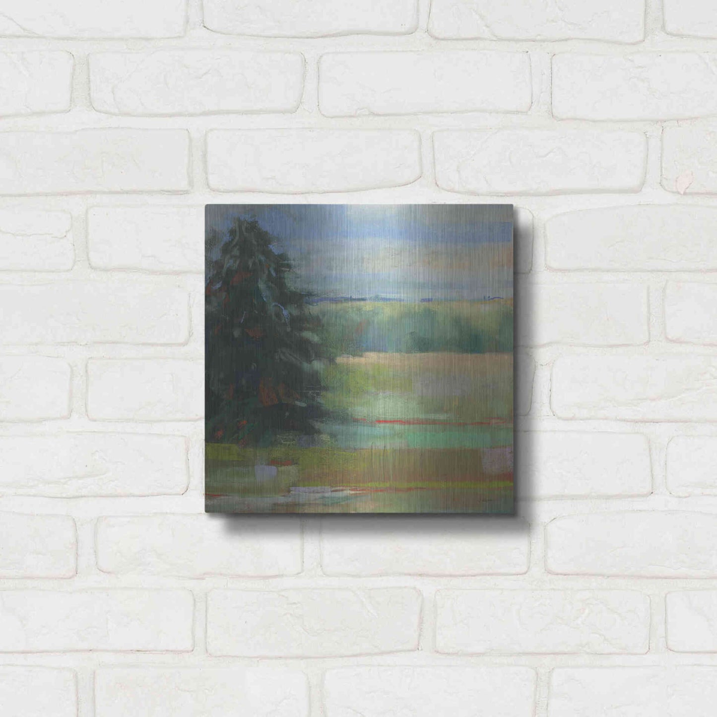 Luxe Metal Art 'Abstract Field I' by Carol Rowan, Metal Wall Art,12x12