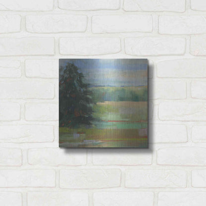 Luxe Metal Art 'Abstract Field I' by Carol Rowan, Metal Wall Art,12x12