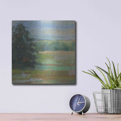 Luxe Metal Art 'Abstract Field I' by Carol Rowan, Metal Wall Art,12x12