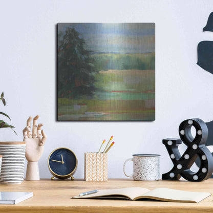 Luxe Metal Art 'Abstract Field I' by Carol Rowan, Metal Wall Art,12x12