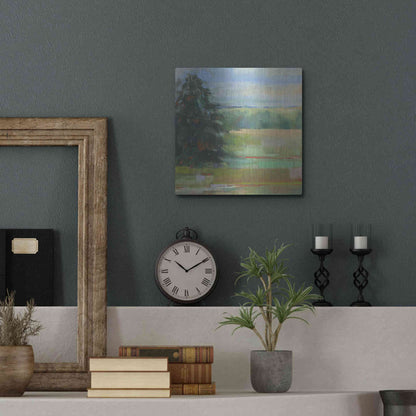 Luxe Metal Art 'Abstract Field I' by Carol Rowan, Metal Wall Art,12x12