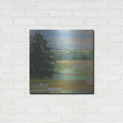 Luxe Metal Art 'Abstract Field I' by Carol Rowan, Metal Wall Art,24x24