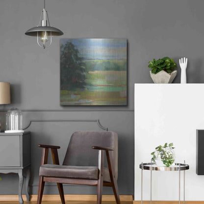 Luxe Metal Art 'Abstract Field I' by Carol Rowan, Metal Wall Art,24x24