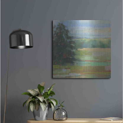 Luxe Metal Art 'Abstract Field I' by Carol Rowan, Metal Wall Art,24x24