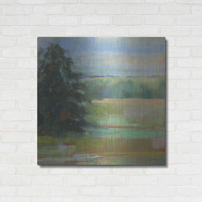 Luxe Metal Art 'Abstract Field I' by Carol Rowan, Metal Wall Art,36x36