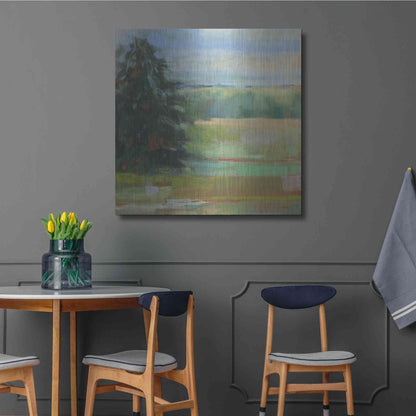 Luxe Metal Art 'Abstract Field I' by Carol Rowan, Metal Wall Art,36x36