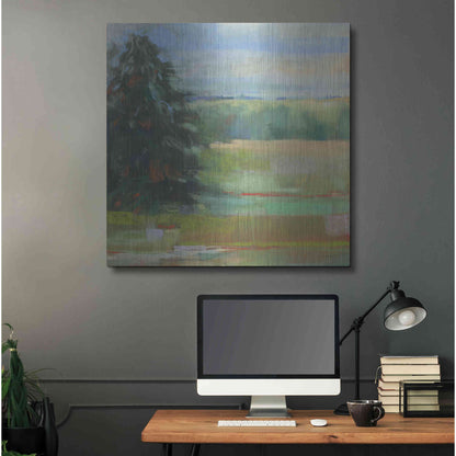 Luxe Metal Art 'Abstract Field I' by Carol Rowan, Metal Wall Art,36x36