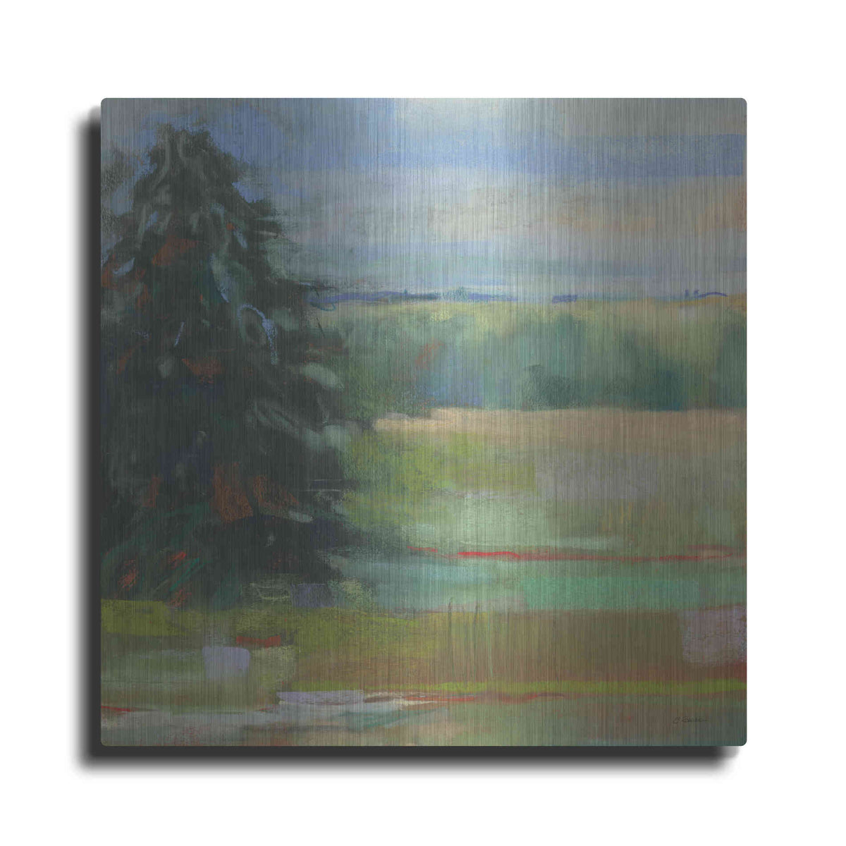 Luxe Metal Art 'Abstract Field I' by Carol Rowan, Metal Wall Art