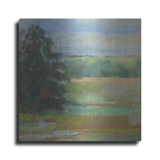 Luxe Metal Art 'Abstract Field I' by Carol Rowan, Metal Wall Art
