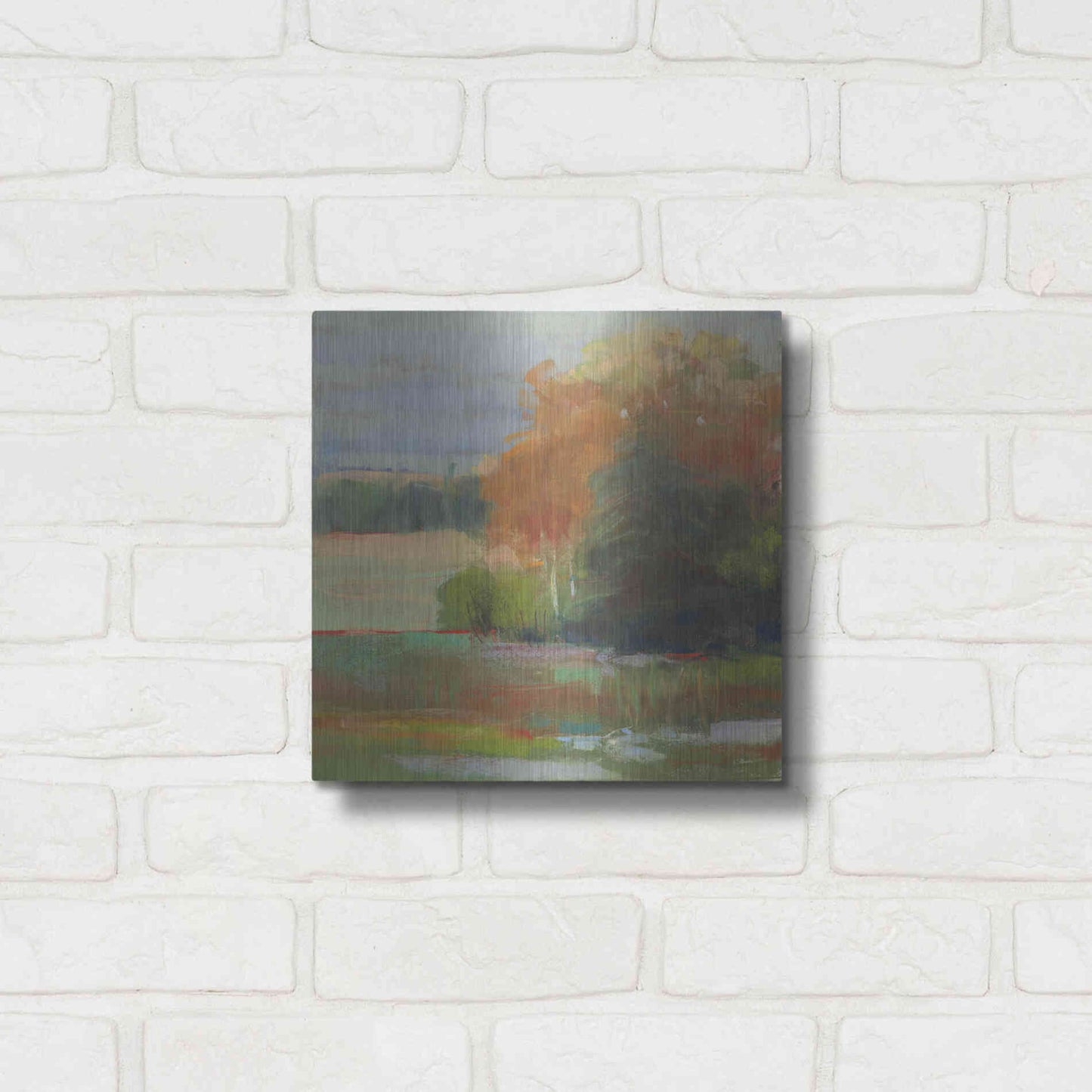 Luxe Metal Art 'Abstract Field II' by Carol Rowan, Metal Wall Art,12x12