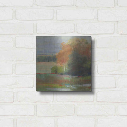 Luxe Metal Art 'Abstract Field II' by Carol Rowan, Metal Wall Art,12x12