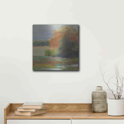 Luxe Metal Art 'Abstract Field II' by Carol Rowan, Metal Wall Art,12x12