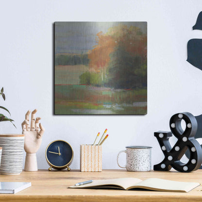 Luxe Metal Art 'Abstract Field II' by Carol Rowan, Metal Wall Art,12x12