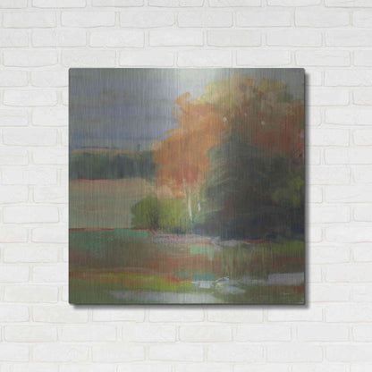 Luxe Metal Art 'Abstract Field II' by Carol Rowan, Metal Wall Art,36x36