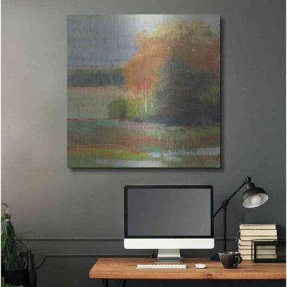 Luxe Metal Art 'Abstract Field II' by Carol Rowan, Metal Wall Art,36x36