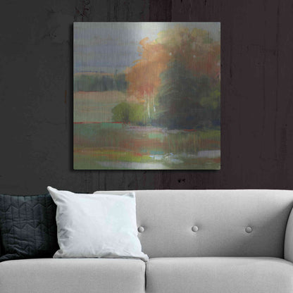 Luxe Metal Art 'Abstract Field II' by Carol Rowan, Metal Wall Art,36x36