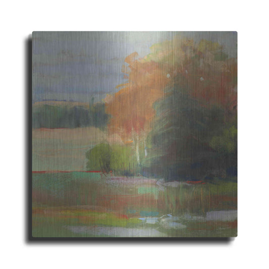 Luxe Metal Art 'Abstract Field II' by Carol Rowan, Metal Wall Art