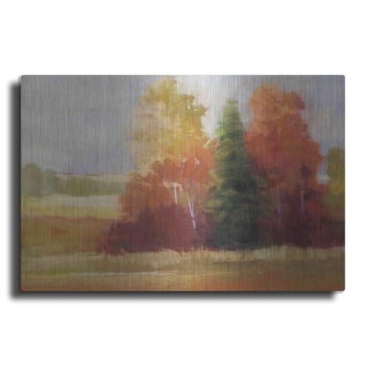 Luxe Metal Art 'Autumn Leaves' by Carol Rowan, Metal Wall Art