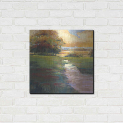 Luxe Metal Art 'Out For A Walk' by Carol Rowan, Metal Wall Art,24x24