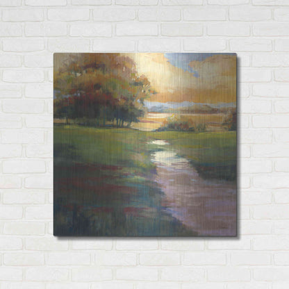 Luxe Metal Art 'Out For A Walk' by Carol Rowan, Metal Wall Art,36x36