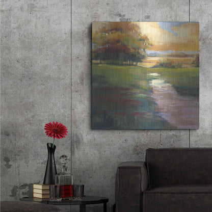 Luxe Metal Art 'Out For A Walk' by Carol Rowan, Metal Wall Art,36x36