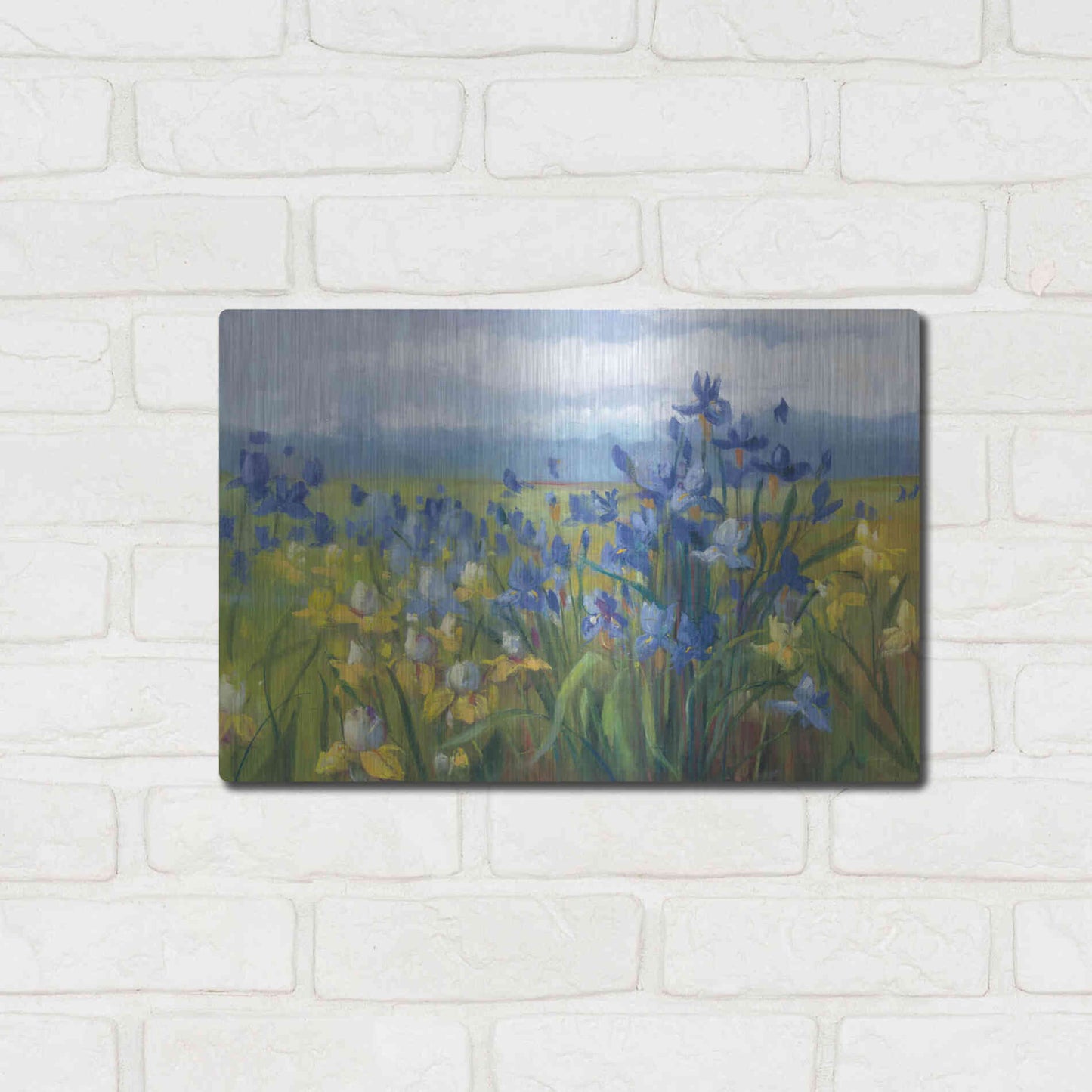 Luxe Metal Art 'Blue And Yellow Flower Field' by Carol Rowan, Metal Wall Art,16x12