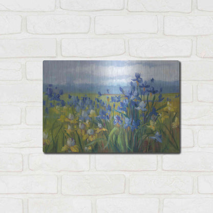 Luxe Metal Art 'Blue And Yellow Flower Field' by Carol Rowan, Metal Wall Art,16x12
