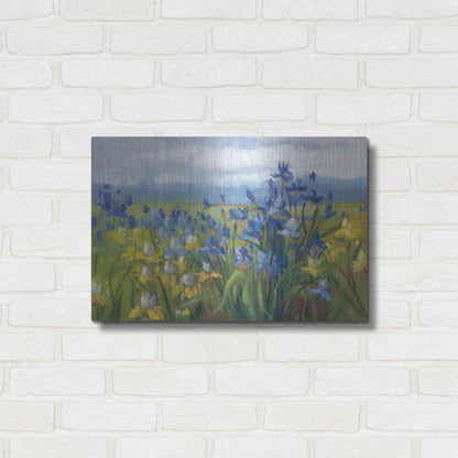 Luxe Metal Art 'Blue And Yellow Flower Field' by Carol Rowan, Metal Wall Art,24x16