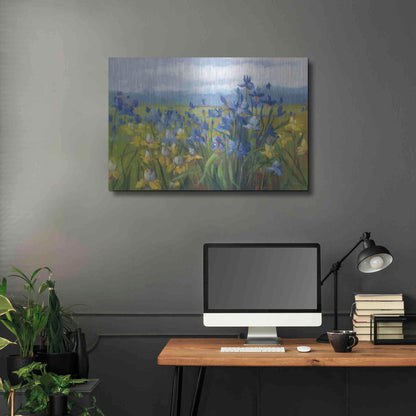 Luxe Metal Art 'Blue And Yellow Flower Field' by Carol Rowan, Metal Wall Art,36x24