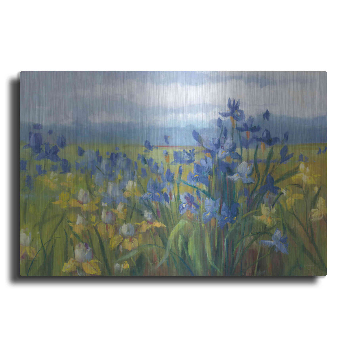 Luxe Metal Art 'Blue And Yellow Flower Field' by Carol Rowan, Metal Wall Art