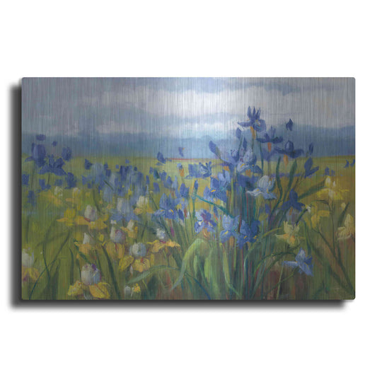 Luxe Metal Art 'Blue And Yellow Flower Field' by Carol Rowan, Metal Wall Art