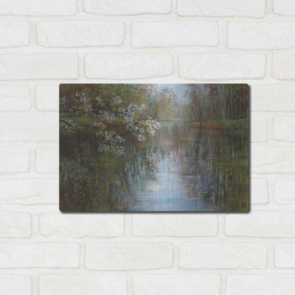 Luxe Metal Art 'Spring Reflection' by Carol Rowan, Metal Wall Art,16x12