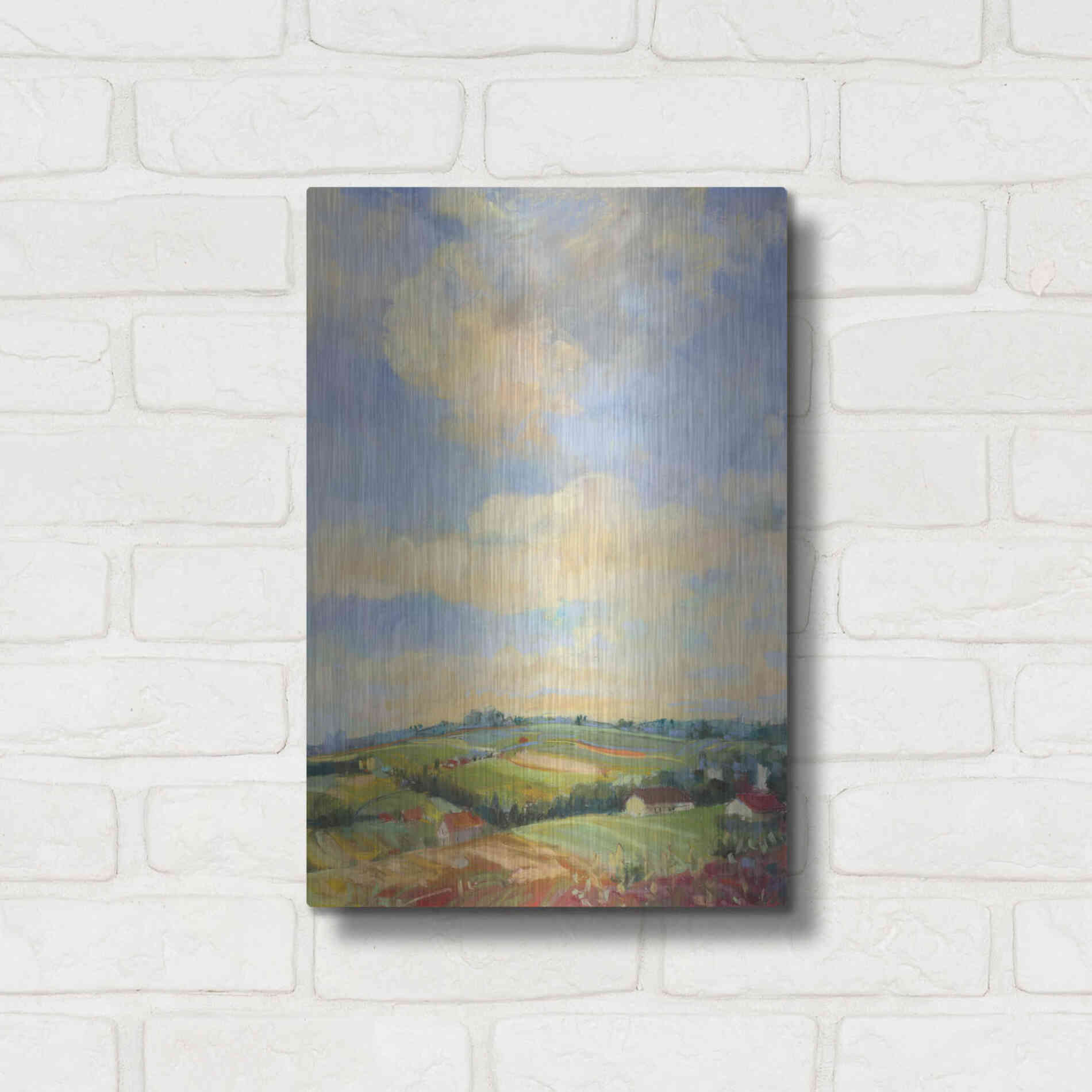 Luxe Metal Art 'Farm Fields' by Carol Rowan, Metal Wall Art,12x16