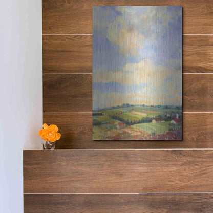 Luxe Metal Art 'Farm Fields' by Carol Rowan, Metal Wall Art,12x16