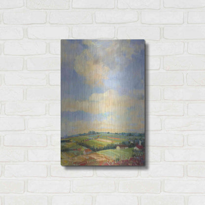 Luxe Metal Art 'Farm Fields' by Carol Rowan, Metal Wall Art,16x24