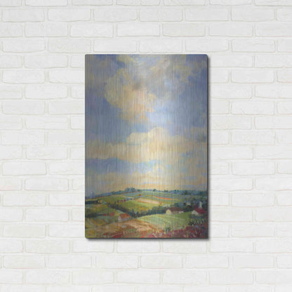 Luxe Metal Art 'Farm Fields' by Carol Rowan, Metal Wall Art,24x36