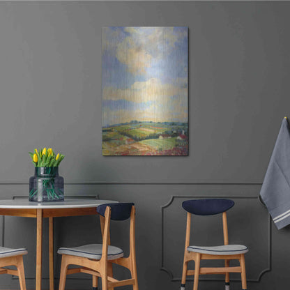 Luxe Metal Art 'Farm Fields' by Carol Rowan, Metal Wall Art,24x36