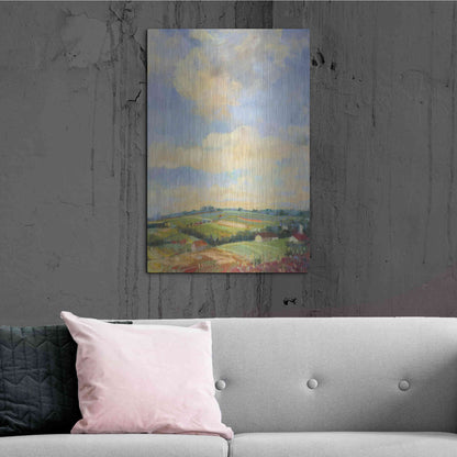 Luxe Metal Art 'Farm Fields' by Carol Rowan, Metal Wall Art,24x36