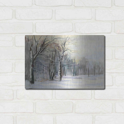 Luxe Metal Art 'Winter In The Park' by Carol Rowan, Metal Wall Art,16x12