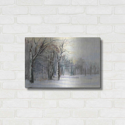 Luxe Metal Art 'Winter In The Park' by Carol Rowan, Metal Wall Art,24x16
