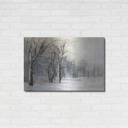 Luxe Metal Art 'Winter In The Park' by Carol Rowan, Metal Wall Art,36x24