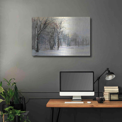 Luxe Metal Art 'Winter In The Park' by Carol Rowan, Metal Wall Art,36x24
